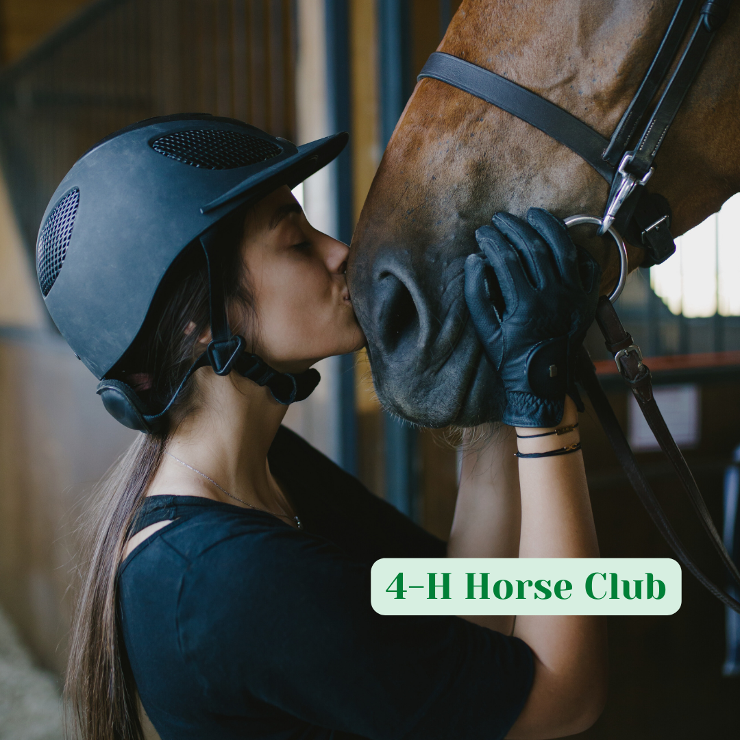 4 H Horse Club Meigs County 4-h-horse-club-meigs-county